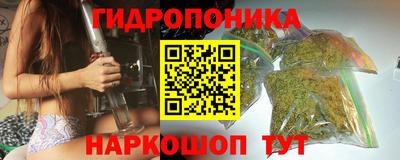индика Канаш
