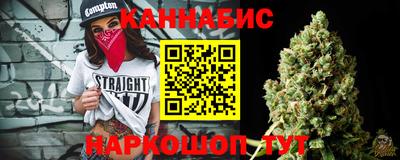 гидропоника Камышлов