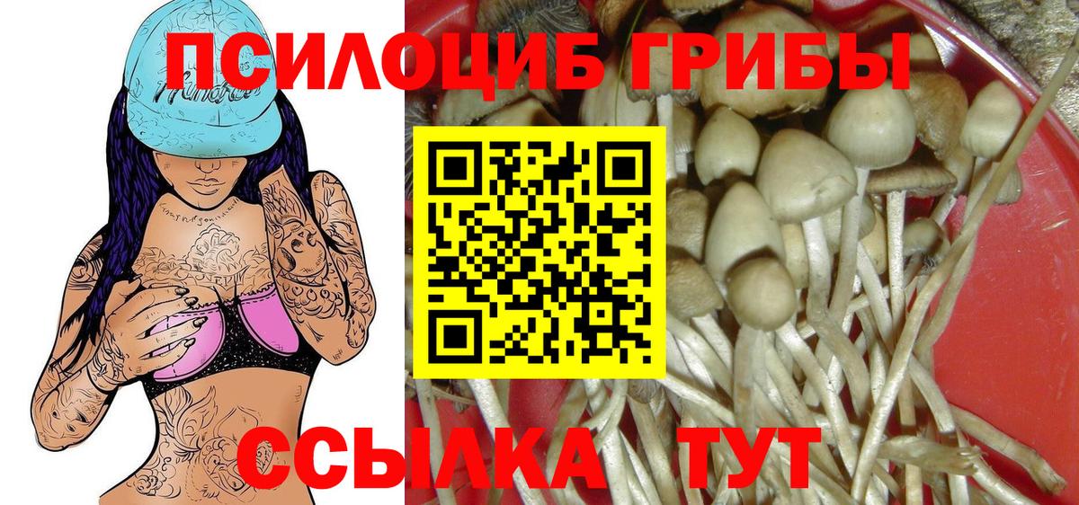 Псилоцибиновые грибы мухоморы  купить  цена  Орёл  Вход с VPN 